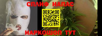 шишки Надым